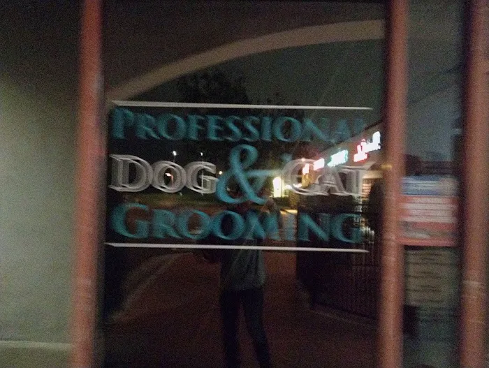 Founders Veterinary Clinic 12