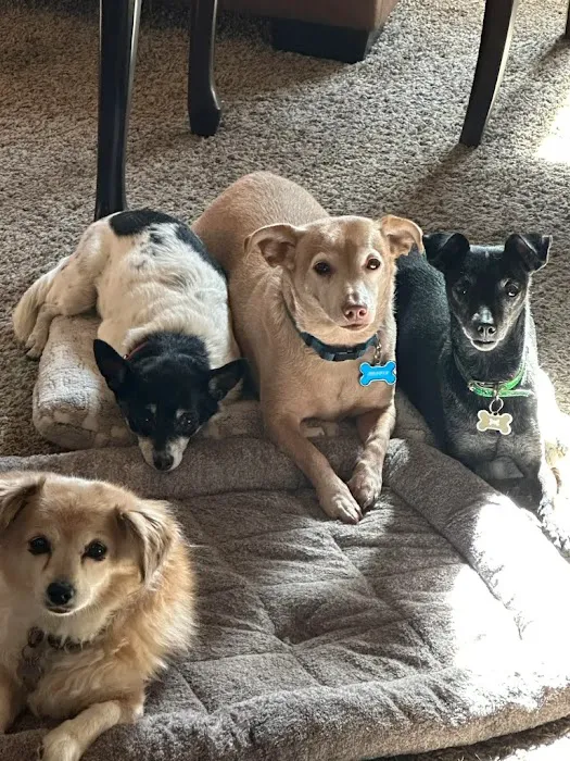 Pacific Paws Animal Hospital 12