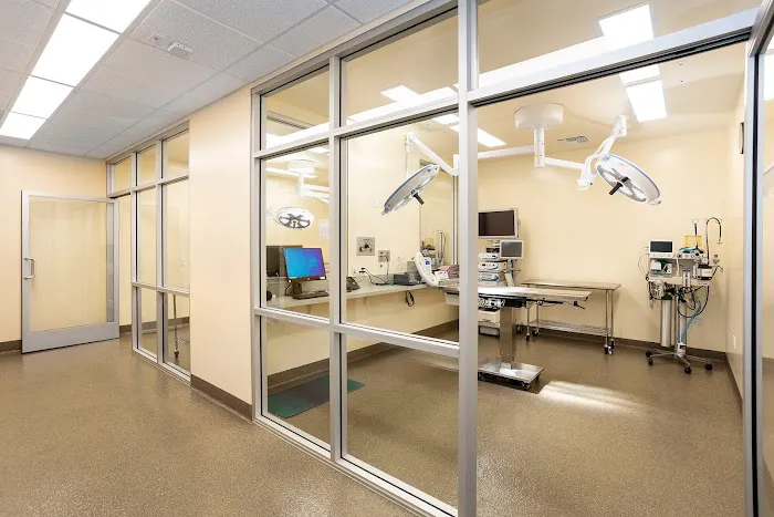 Animal Orthopedic Center 12