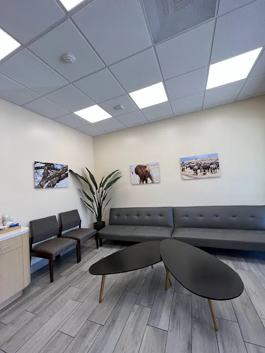 Animal Orthopedic Center 12