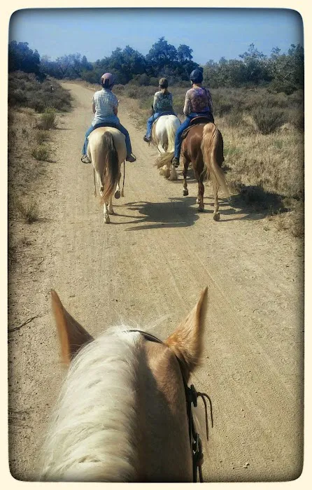 Equine Veterinary Associates, Inc. 3