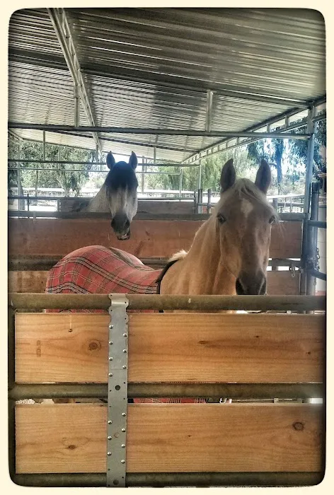 Equine Veterinary Associates, Inc. 6