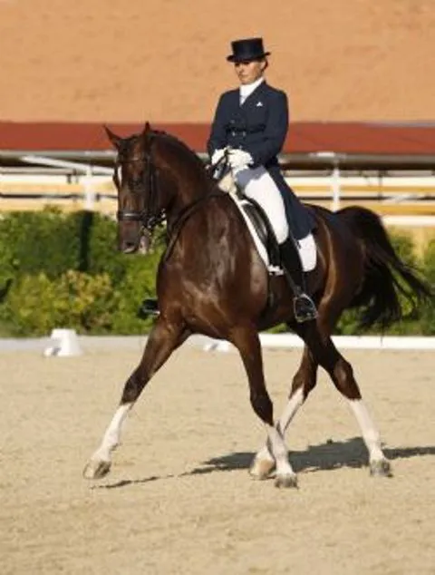Equine Veterinary Associates, Inc. 10