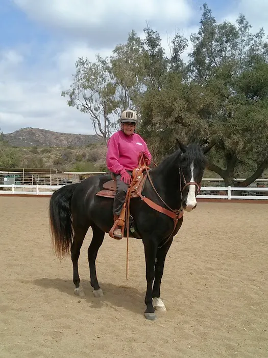 Equine Veterinary Associates, Inc. 4