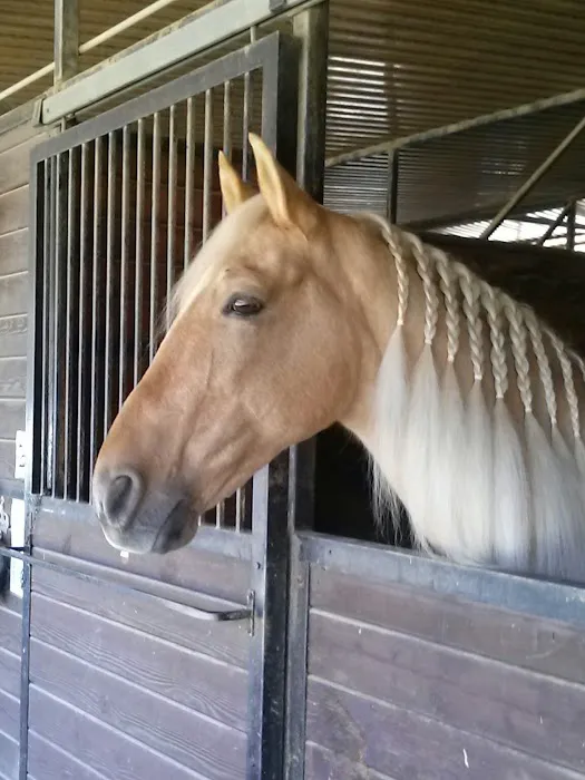 Equine Veterinary Associates, Inc. 7