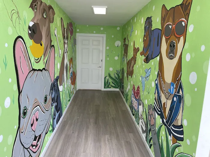 808 Raw Pet Food LLC 6