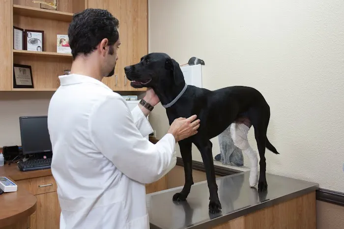 Imperial Highway Animal Clinic 12