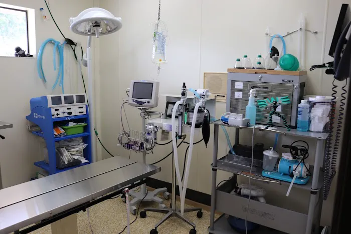 AM/PM Veterinary Hospital 12