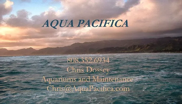 Aqua Pacifica 1