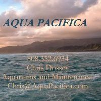 Aqua Pacifica ico
