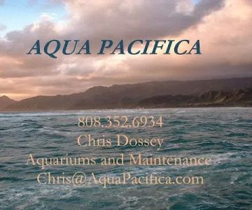 Aqua Pacifica