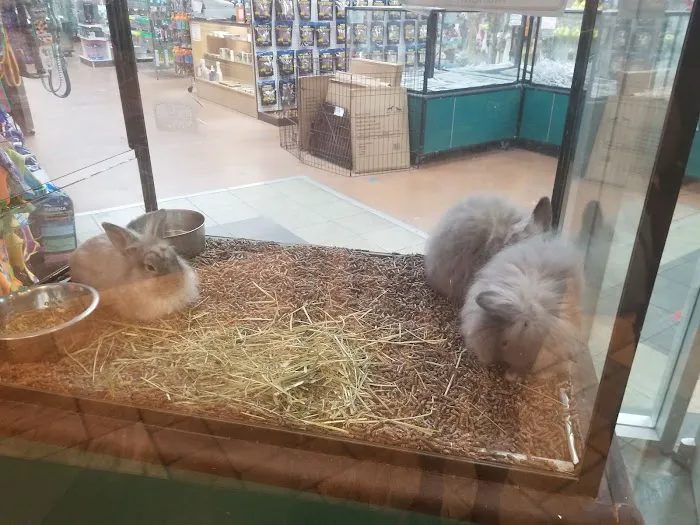 Koolau Pets Plants & Ponds 3