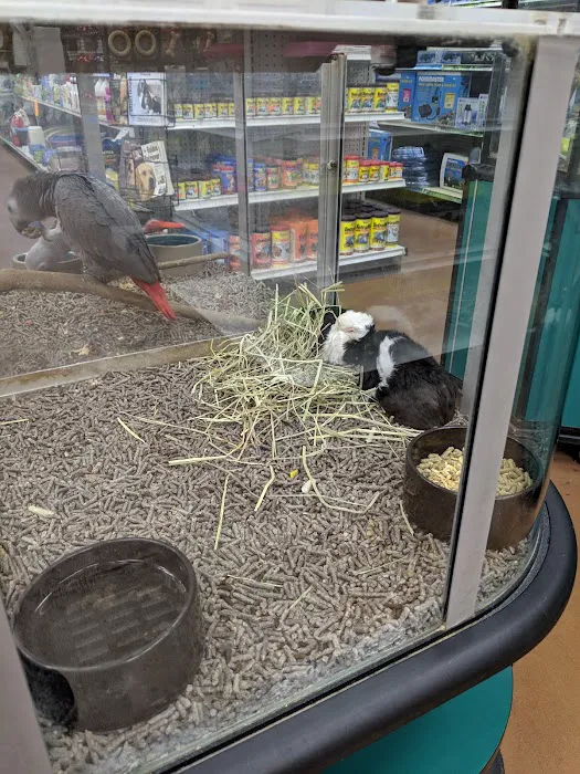 Koolau Pets Plants & Ponds 5