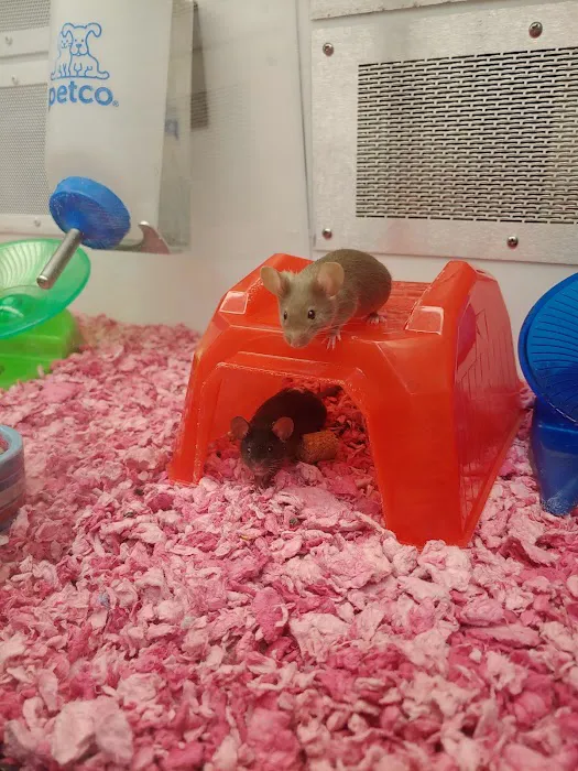 Petco 8