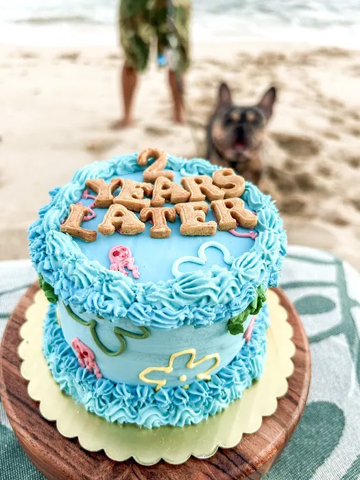 Dogtown Bakery 5