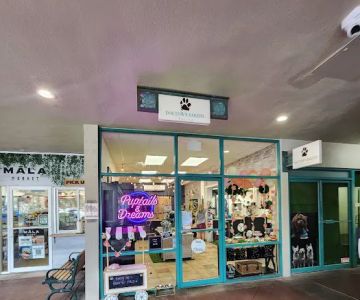 Dogtown Bakery