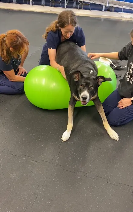 Animal Wellness Center of OC 12