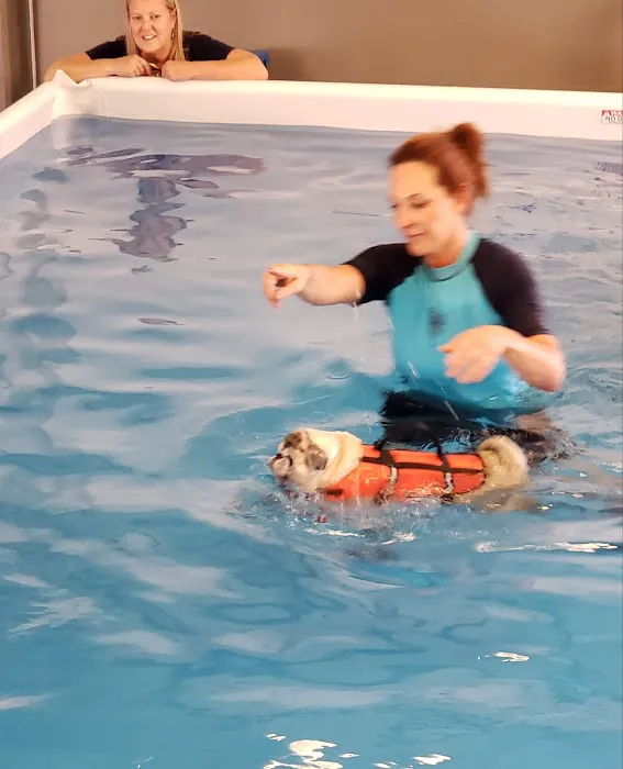 Animal Wellness Center of OC 12