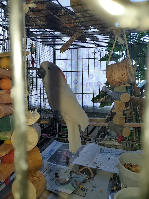 Petco 4