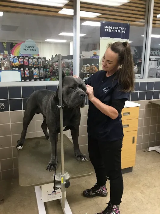 Petco 8