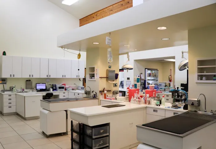Newport Harbor Animal Hospital 12