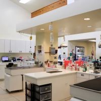 Newport Harbor Animal Hospital ico