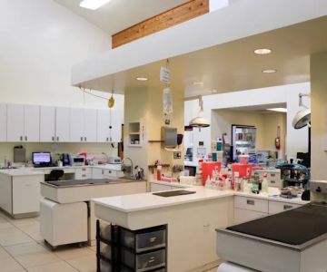Newport Harbor Animal Hospital