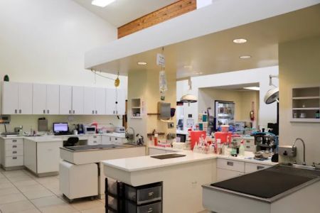 Newport Harbor Animal Hospital