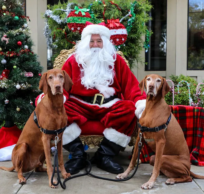 Newport Harbor Animal Hospital 12
