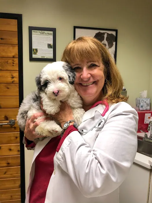 Newport Harbor Animal Hospital 12