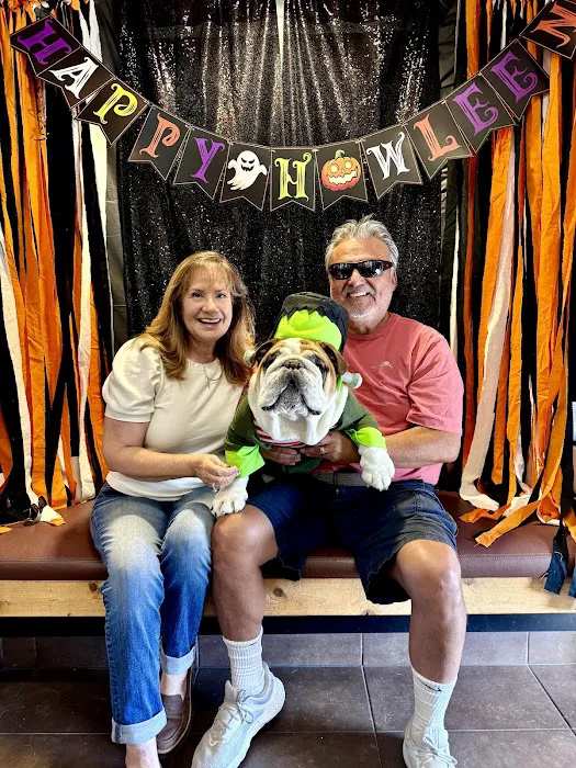 Newport Harbor Animal Hospital 12
