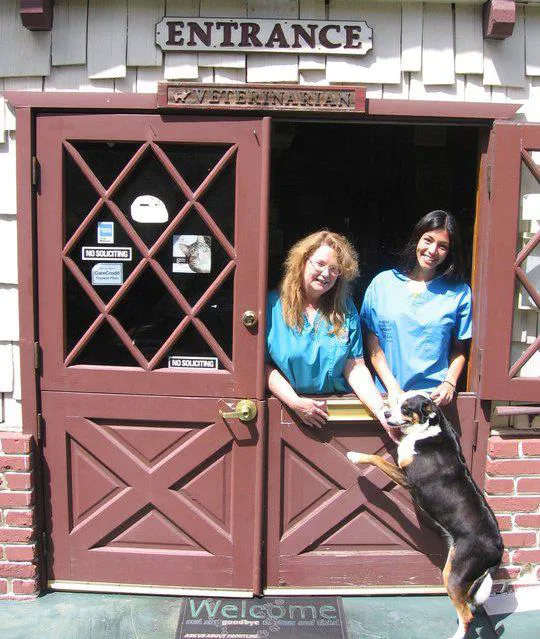 All Creatures Care Cottage 12