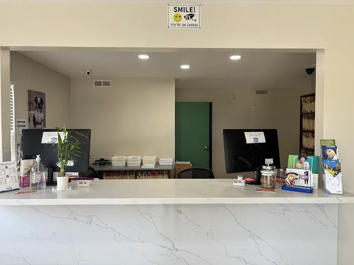 Mesa West Pet Hospital 12