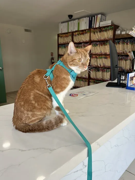 Mesa West Pet Hospital 12
