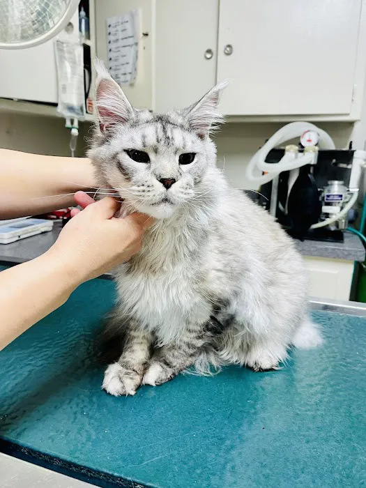 Mesa West Pet Hospital 12