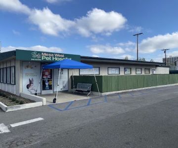 Mesa West Pet Hospital