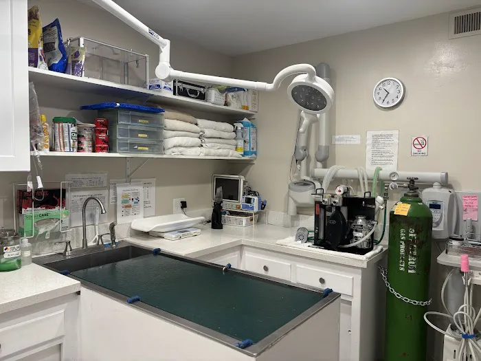 Mesa West Pet Hospital 12