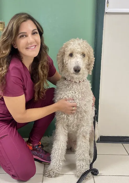 Mesa West Pet Hospital 12