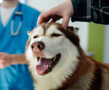 Ranch Heights Veterinary