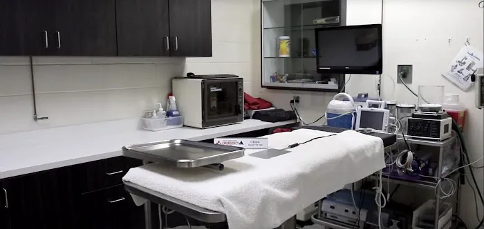 Central Orange County Emergency Animal Hospital 12