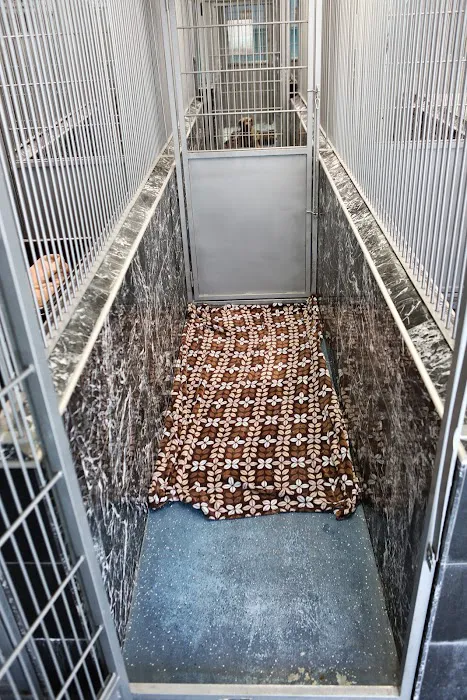 Back Bay Veterinary Hospital 12