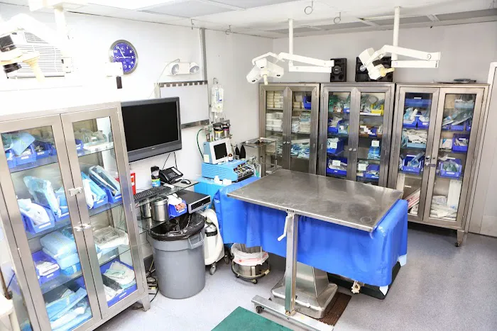 Back Bay Veterinary Hospital 12