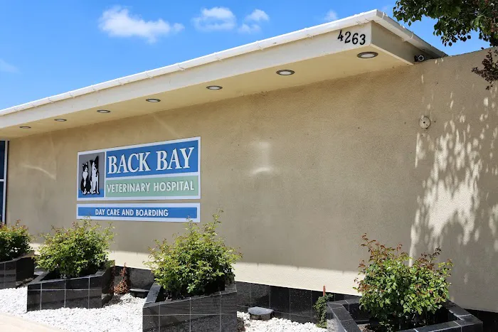 Back Bay Veterinary Hospital 12