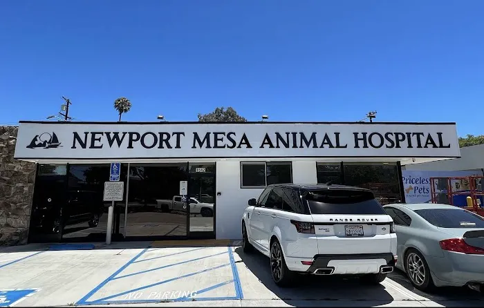 Newport Mesa Animal Hospital 12