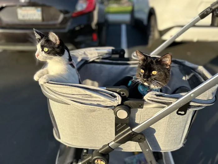 Newport Mesa Animal Hospital 12