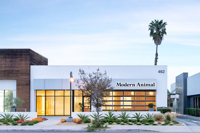 Modern Animal - Costa Mesa 12