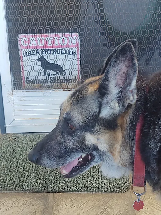 Costa Mesa Animal Hospital 12