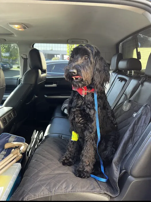 Costa Mesa Animal Hospital 12