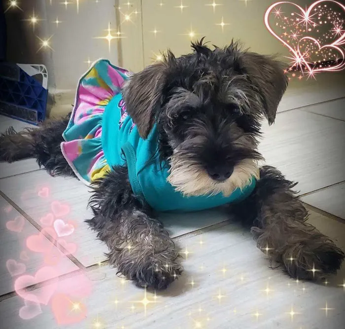 Banfield Pet Hospital 12
