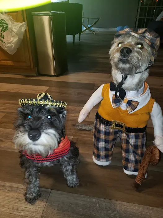 Banfield Pet Hospital 12